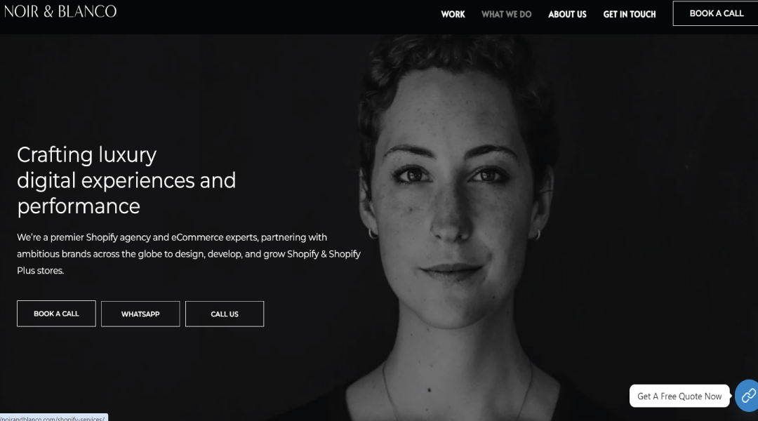 shopify website development company india 